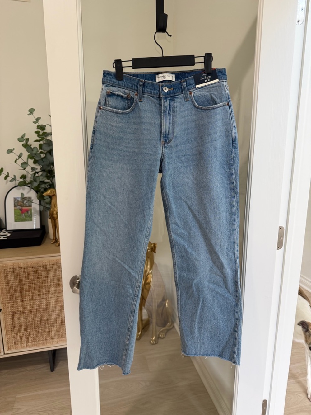 NWT Abercrombie & Fitch The Baggy Low Rise Jeans 26 short curve love